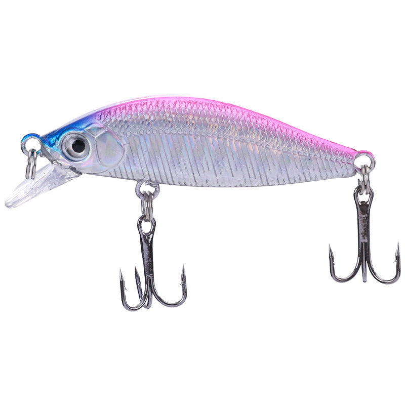 Pêche en eau douce Cockroach Bass Blackfish Bait