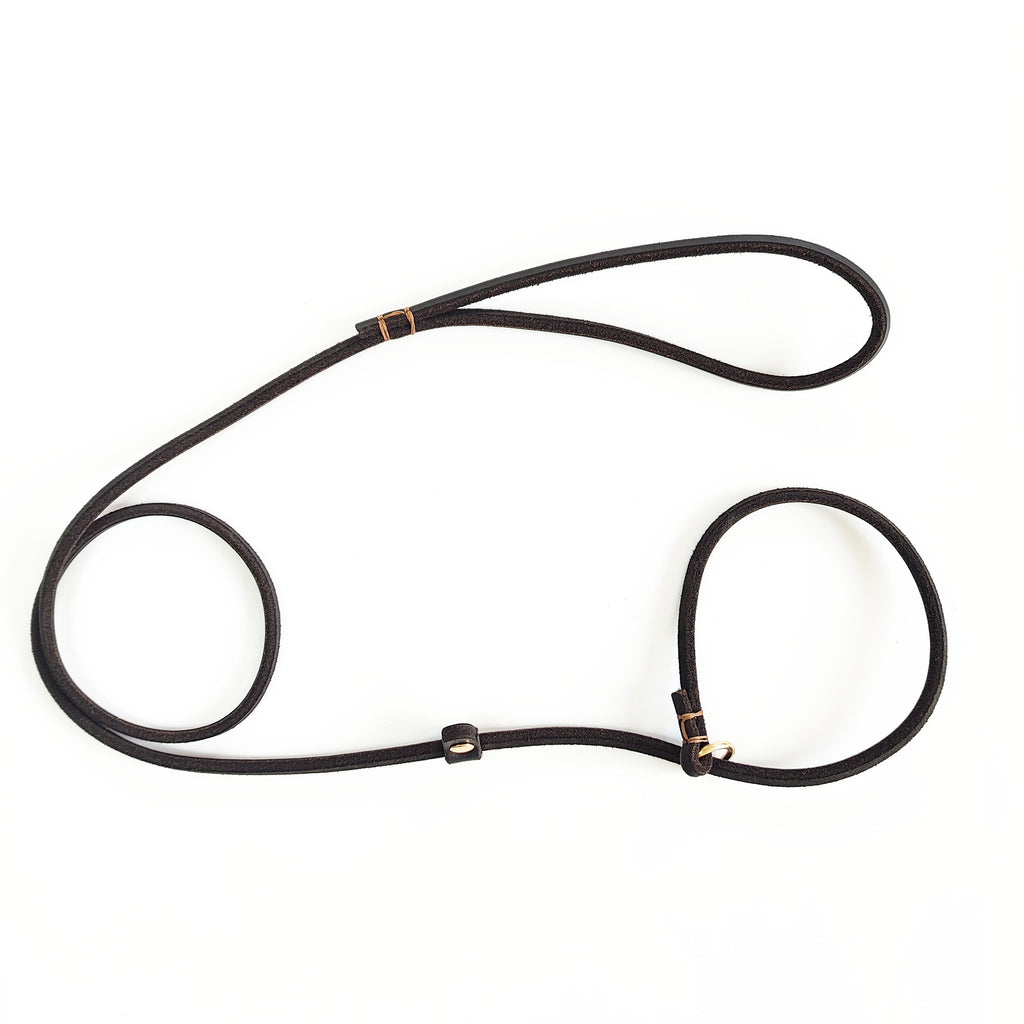En cuir véritable tressé corde Cowhide chien laisse Pet entraînement laisse