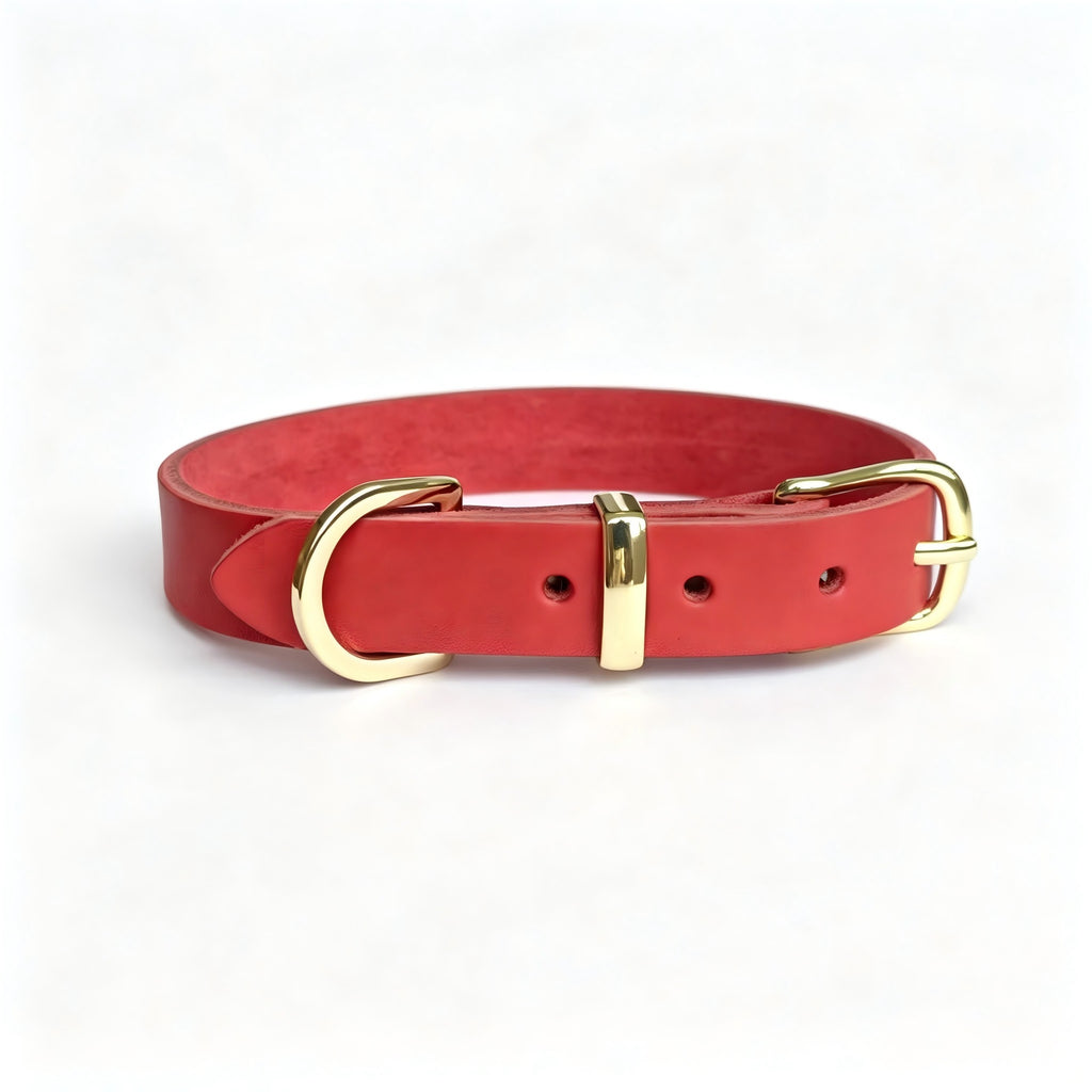 Collier minimaliste pour animaux de compagnie en alliage de zinc