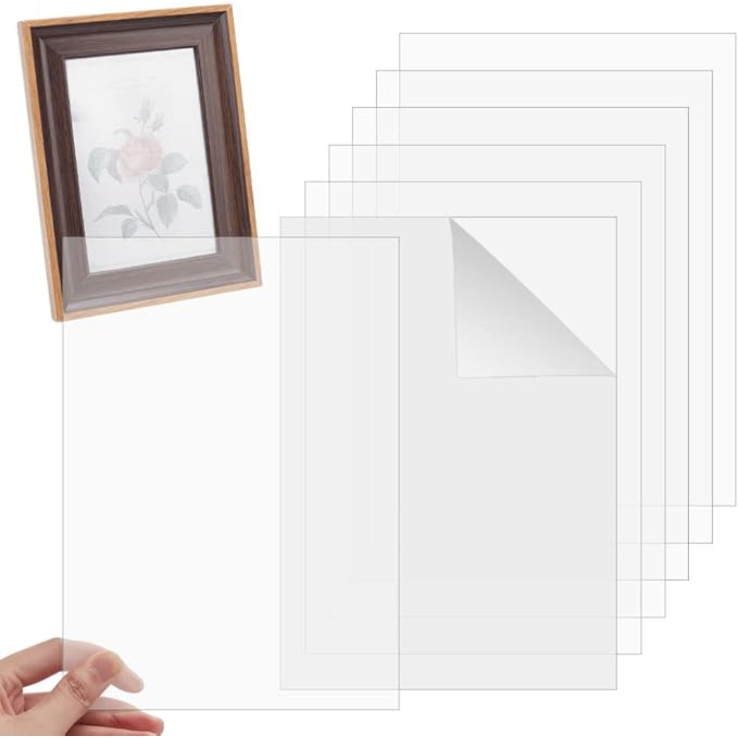 Set artiste 16 pièces - 6 feuilles acryliques claires et 10 pinceaux pour peinture acrylique et DI