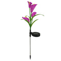 Solar Ground Outdoor Lighting