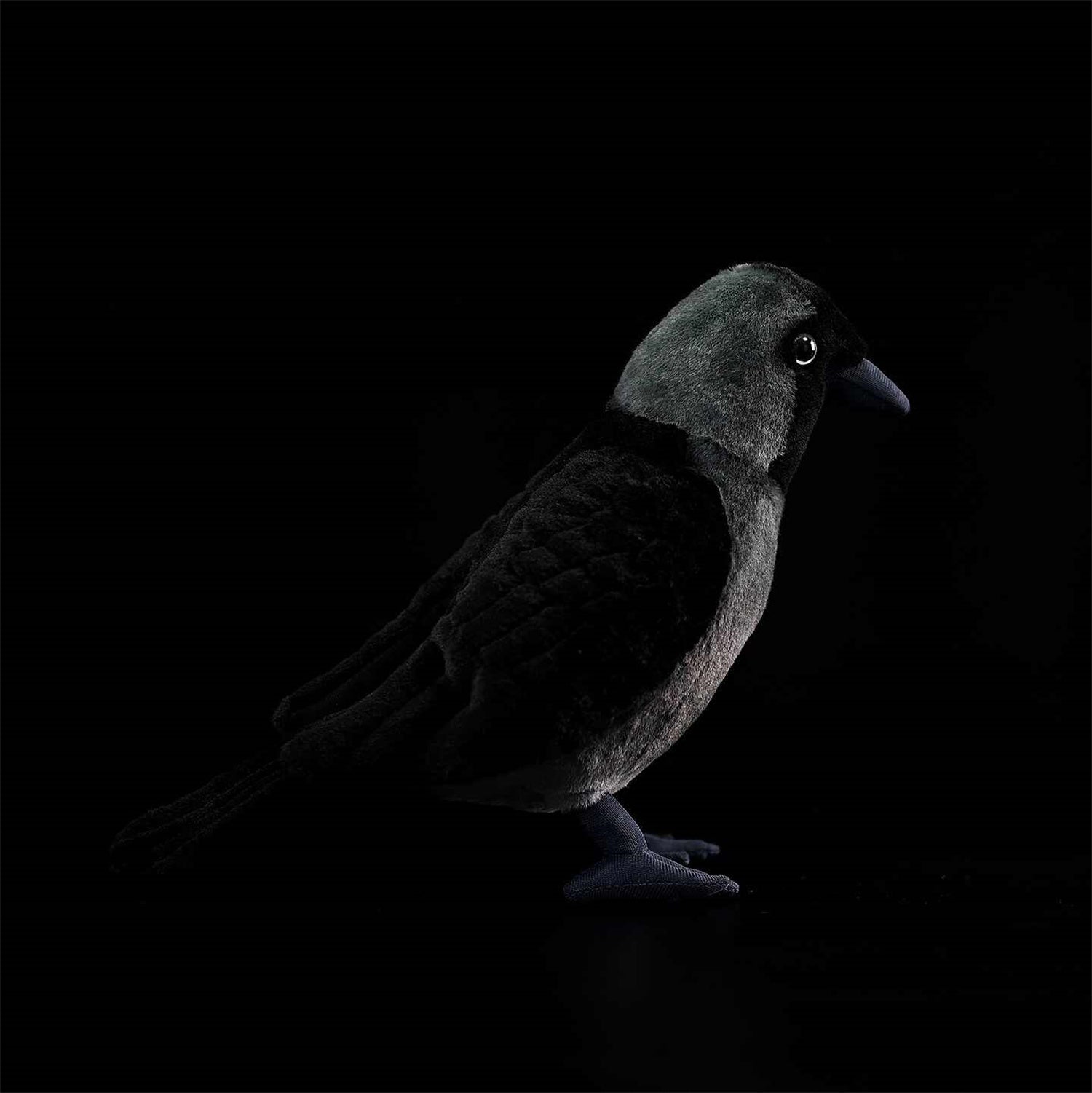Les poupées en peluche de Jackdaw Ouest sont mignonnes