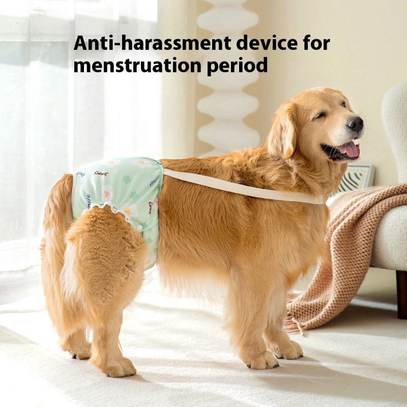 Pantalons menstruels Big Dog Période menstruelle Pantalons de couches