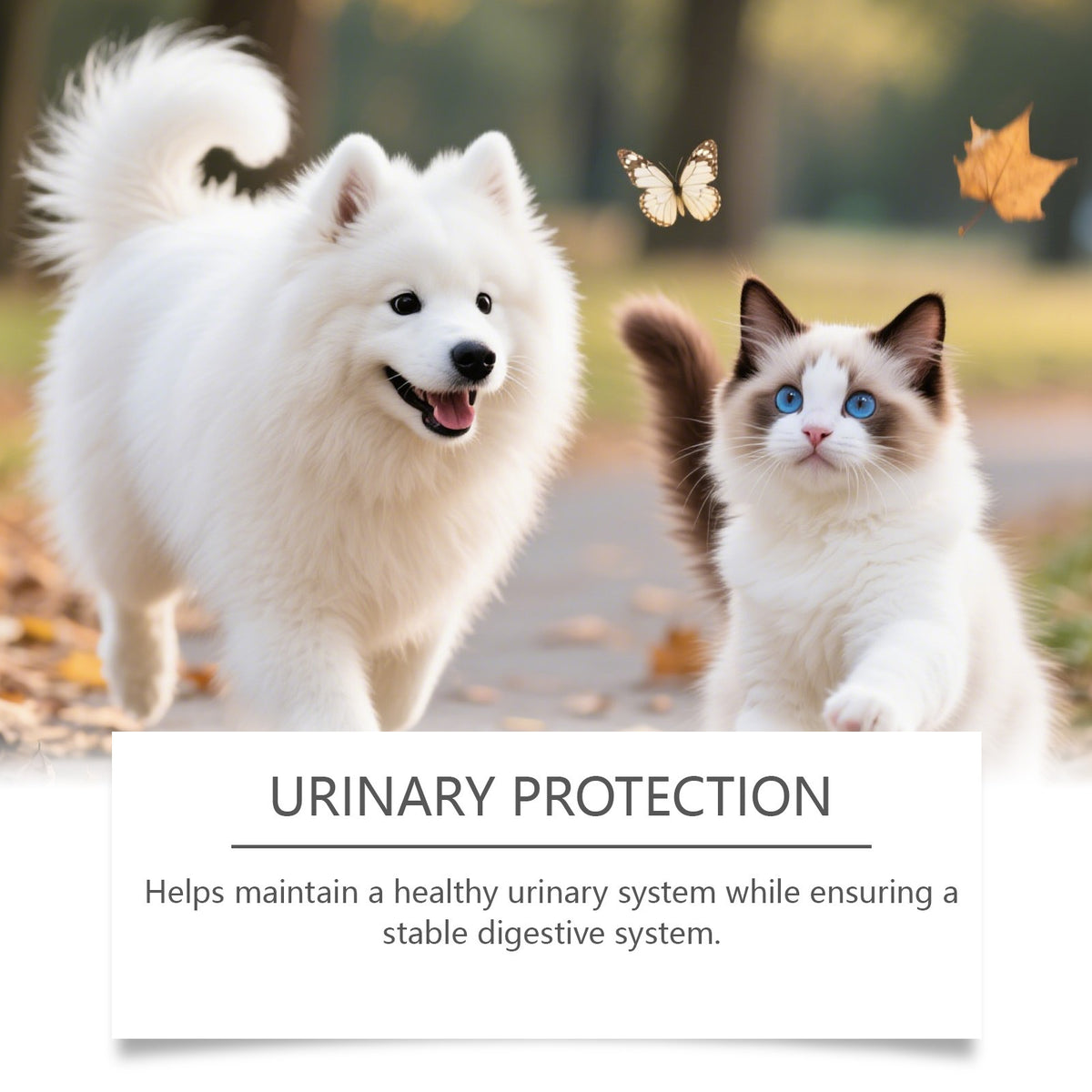 Kriath soin des herbes pour animaux de compagnie liquide oral est une goutte douce et nourrissante qui réconforte les chats et