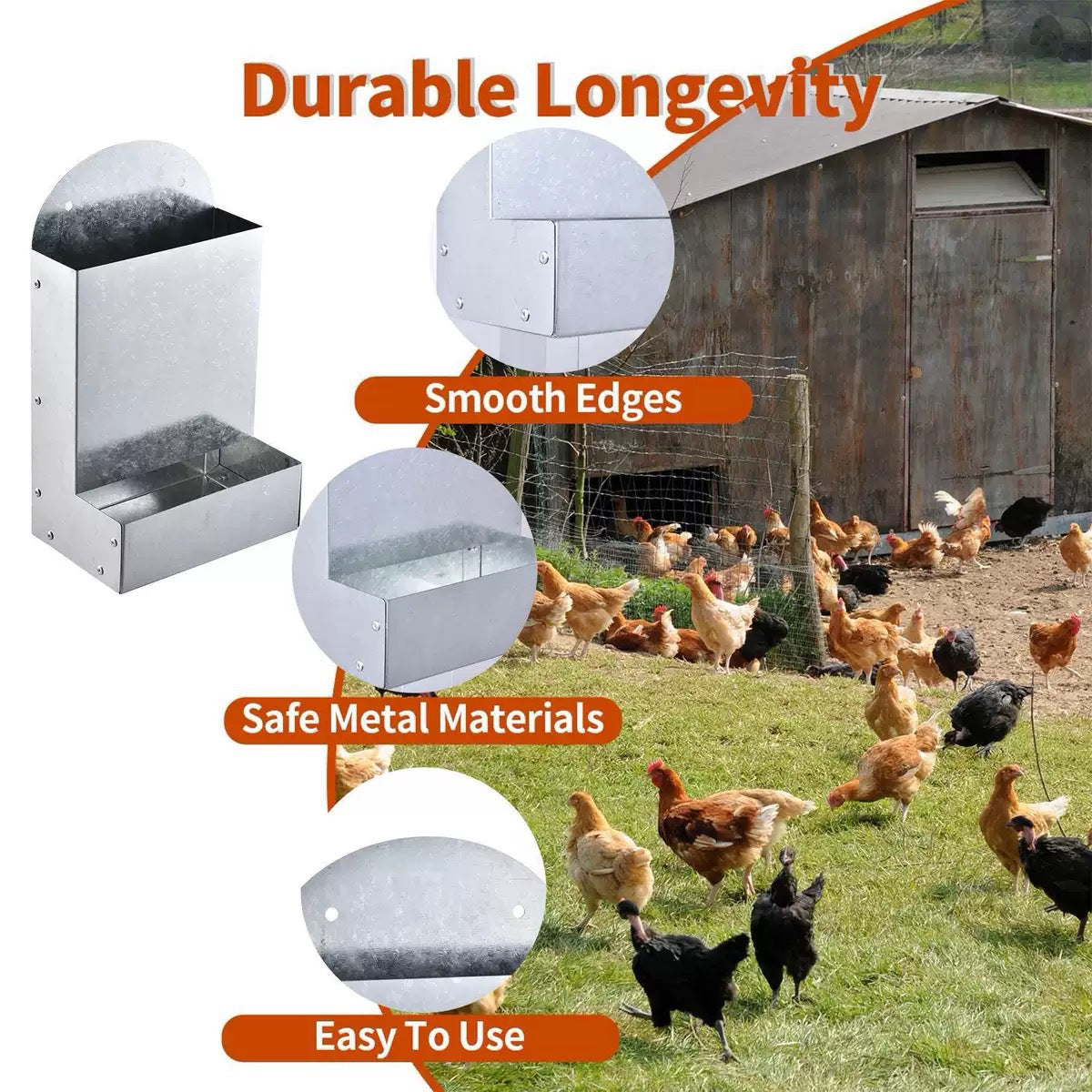 Nourriture de volaille Métaux Brut Poulet Oiseau de perroquet Petit alimentateur d'animaux