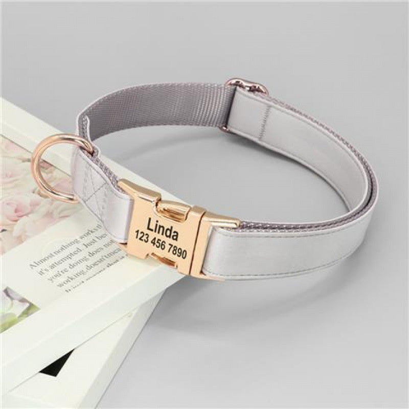 Tag chien collier d'or anti perte