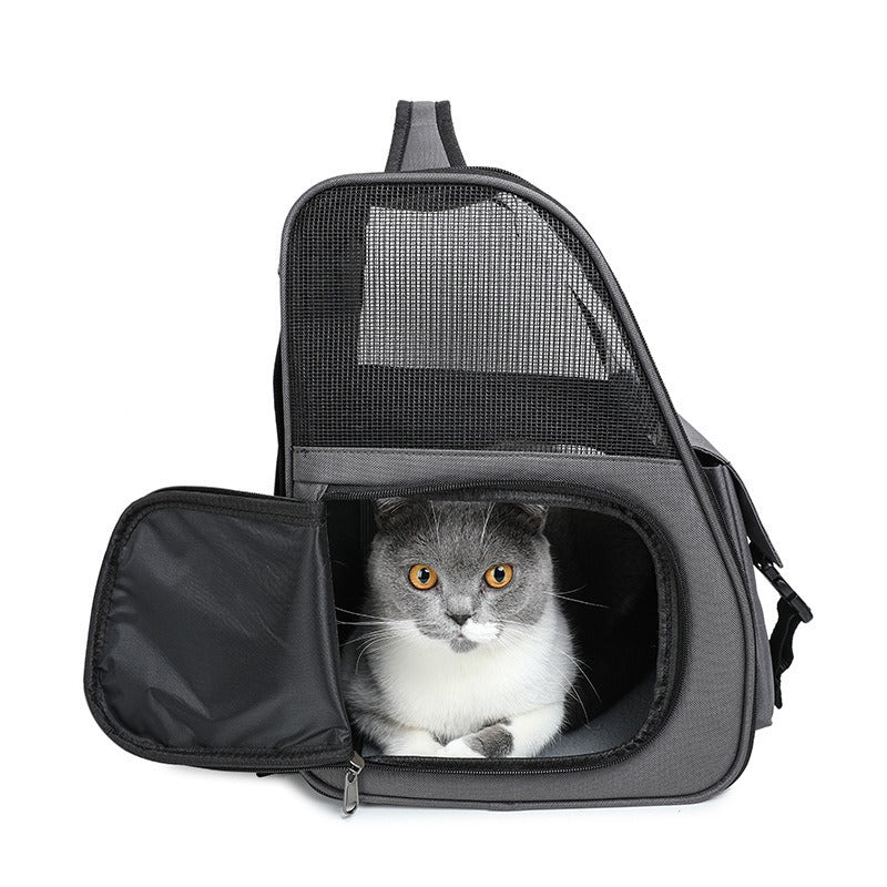 Sac à dos respirant transparent pour chats et chiens