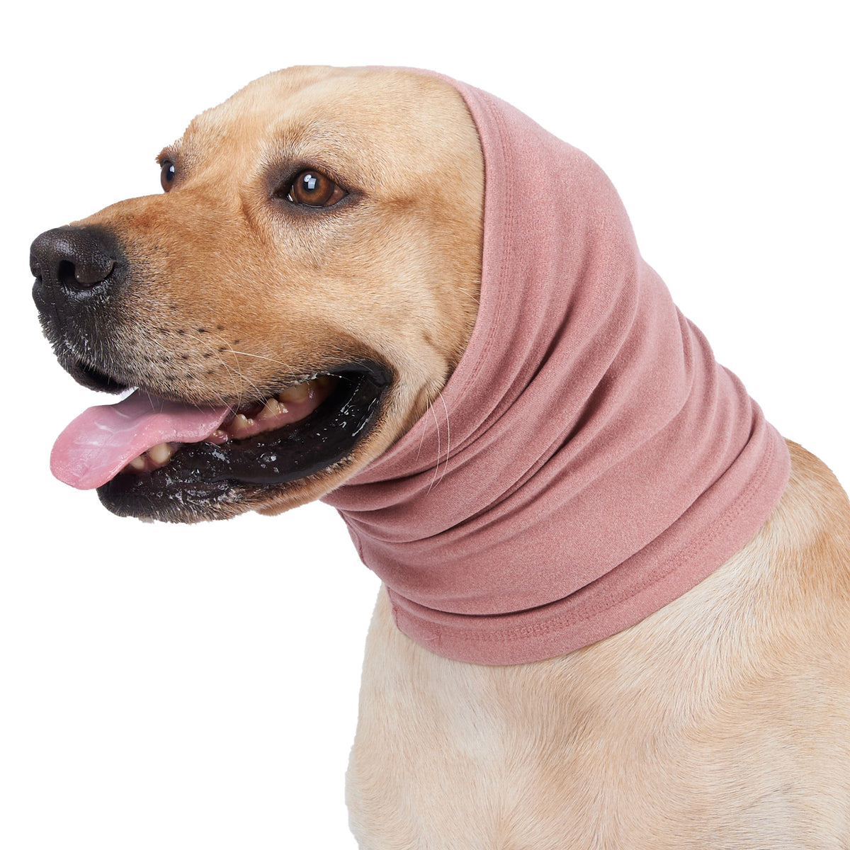Lapin-fleece chien de chien confort et écharpe chaude