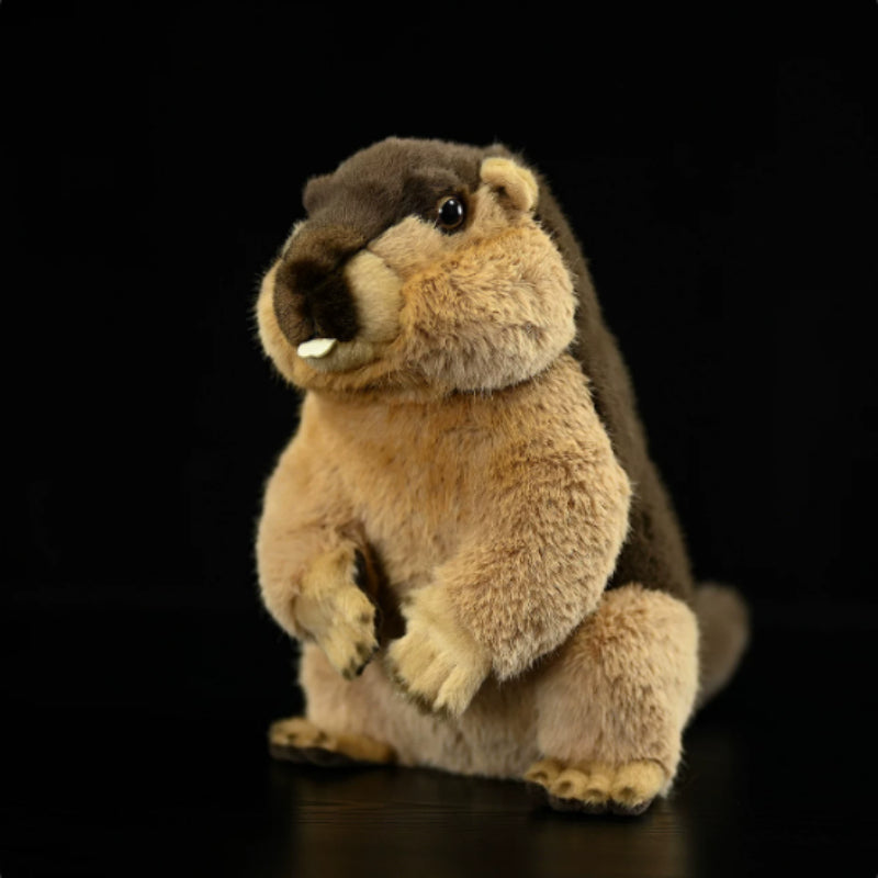 Poupée en peluche de lapin