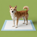 Plaquettes d'entraînement jetables pour chiens