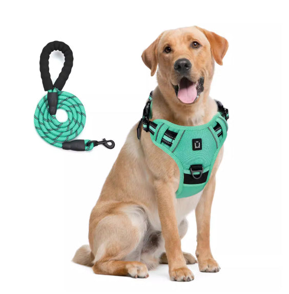 Harnais de chien et combo de laisse avec conception de preuve d'évasion