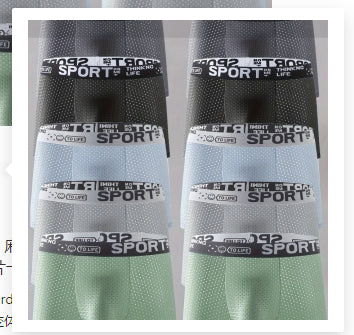 Sous-vêtements Hommes Ice Silk Mesh Boxers