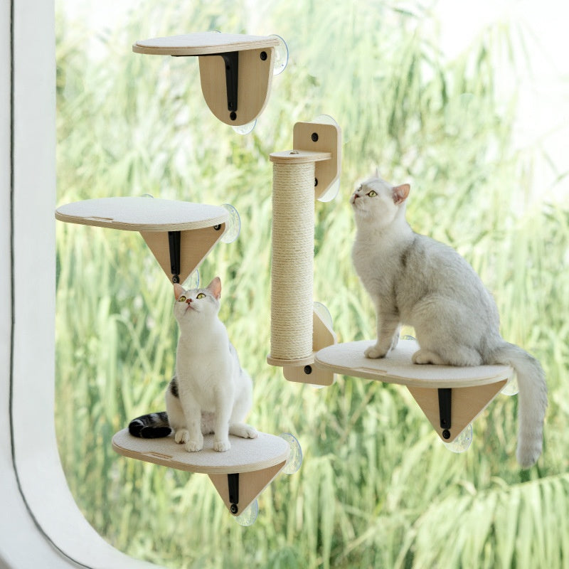 Meow Hu Wang est aussi Cat Scratch Trees ne couvrant pas une zone de mur de verre