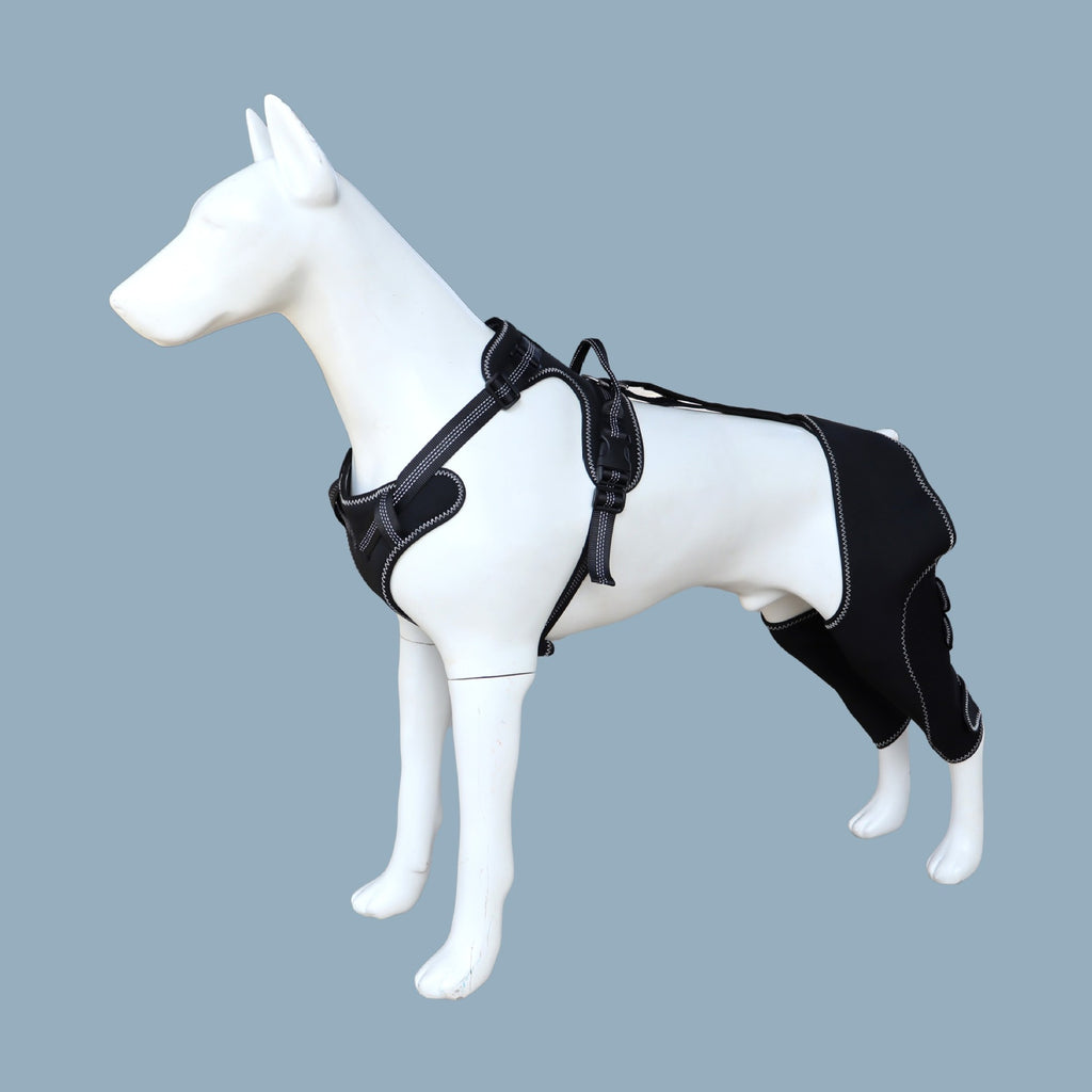 Réhabilitation post-chirurgicale Support de protection conjoint pour animaux de compagnie Knee Brace