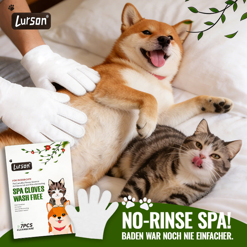 Gants antibactériens anti-poussières pour animaux de compagnie Camellia