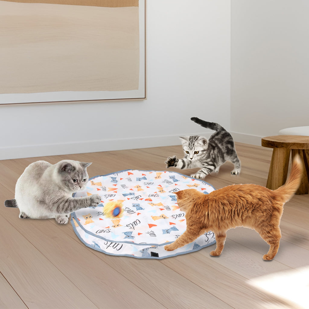 Jouets de chat 1Pc Ball rapide Rolling dans la poche Rechargeable Motion activé Jouets de chat interactifs