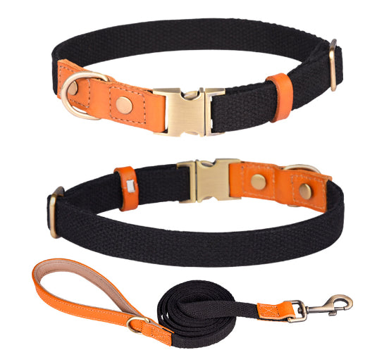 Cowhide chien collier anti lettering chien perdu