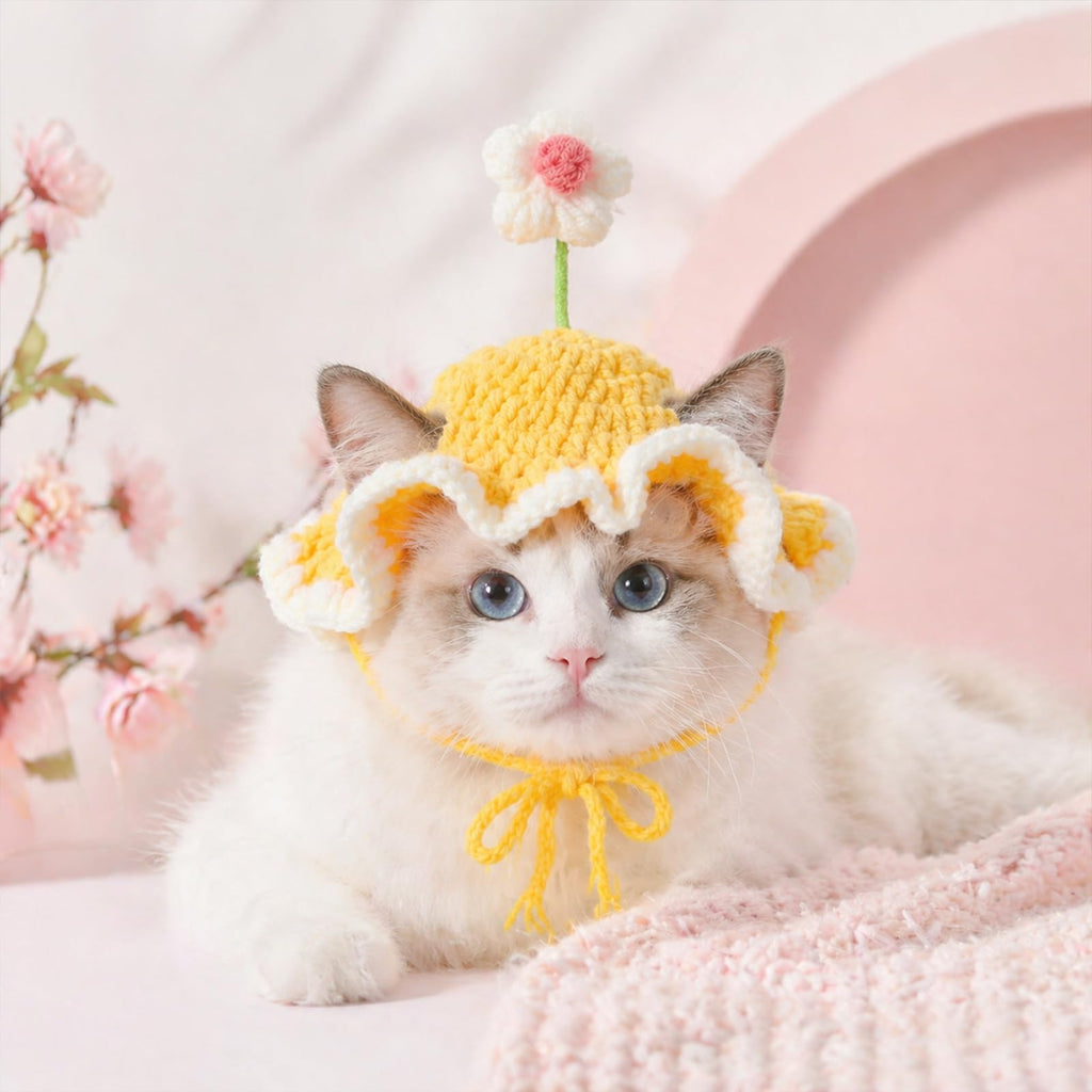 2Pcs Crochet chapeaux de chat tricoté chapeau de chat fraise et grenouille chapeau mignon tricoté chat