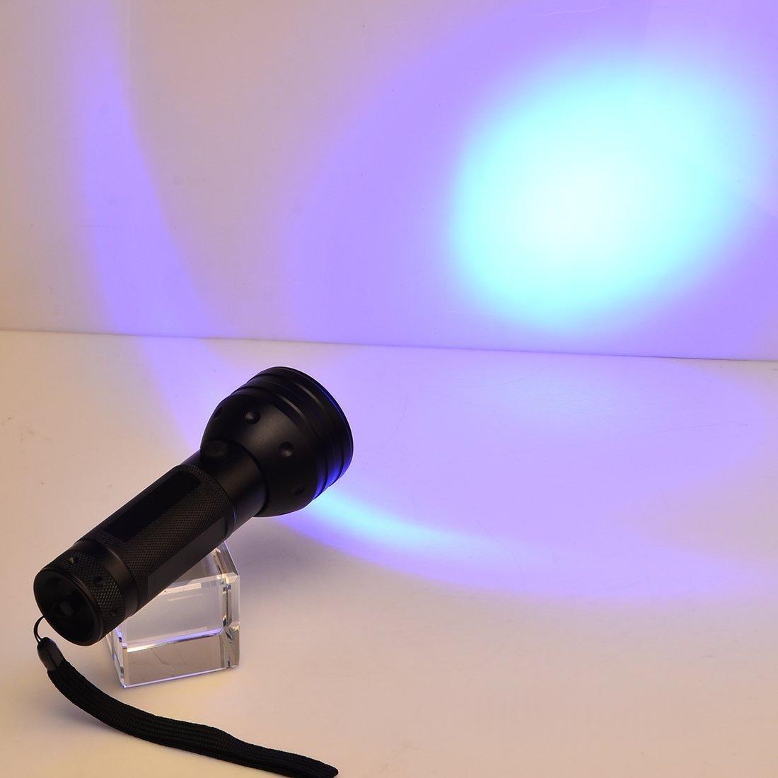 Lampe de poche UV violet pour les scorpions détecte les agents fluorescents