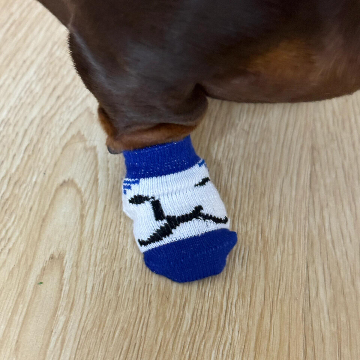 Ensemble de 4 housses antidérapantes et antidérapantes résistant aux rayures pour chats