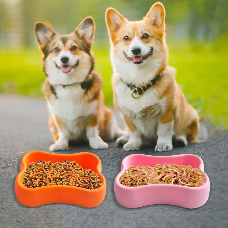 Bol de chien de qualité alimentaire en silicone