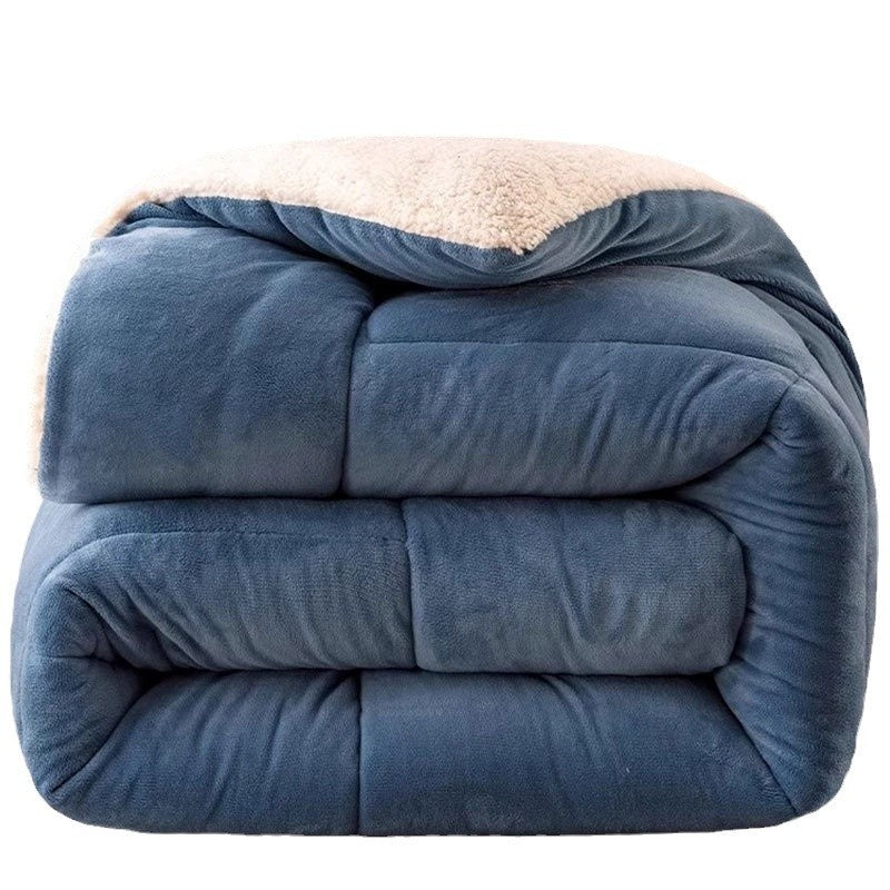 Coral Fleece Hiver Comforter