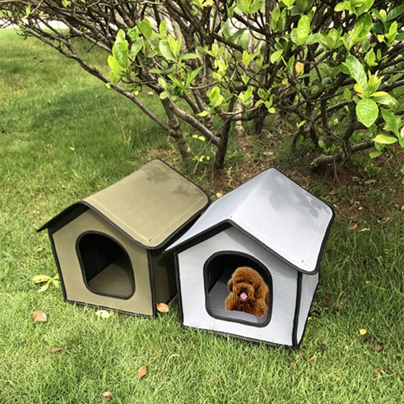 Chien et chat en extérieur imperméable