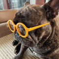 Lunettes de soleil Fashion Pet Cadre rond