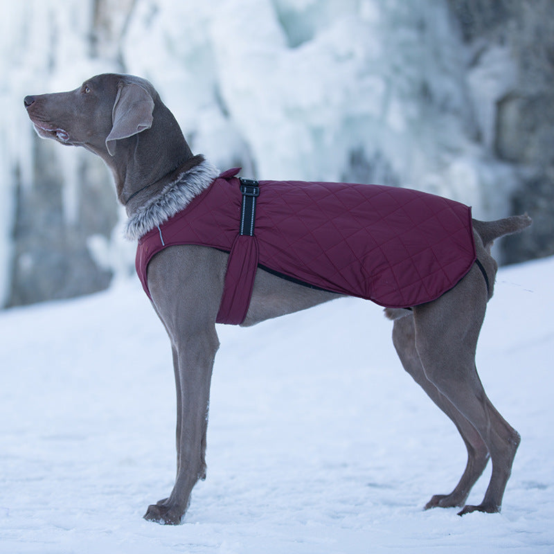 Vêtements pour animaux de compagnie Coton Coats Vente en gros