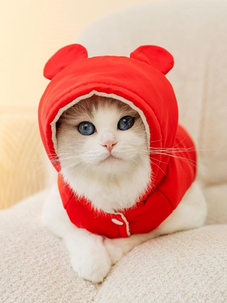 Autumn and Winter Anti-lint Muppet Blue Cat Silver Gradual Layer Pet British Shorthair Cat