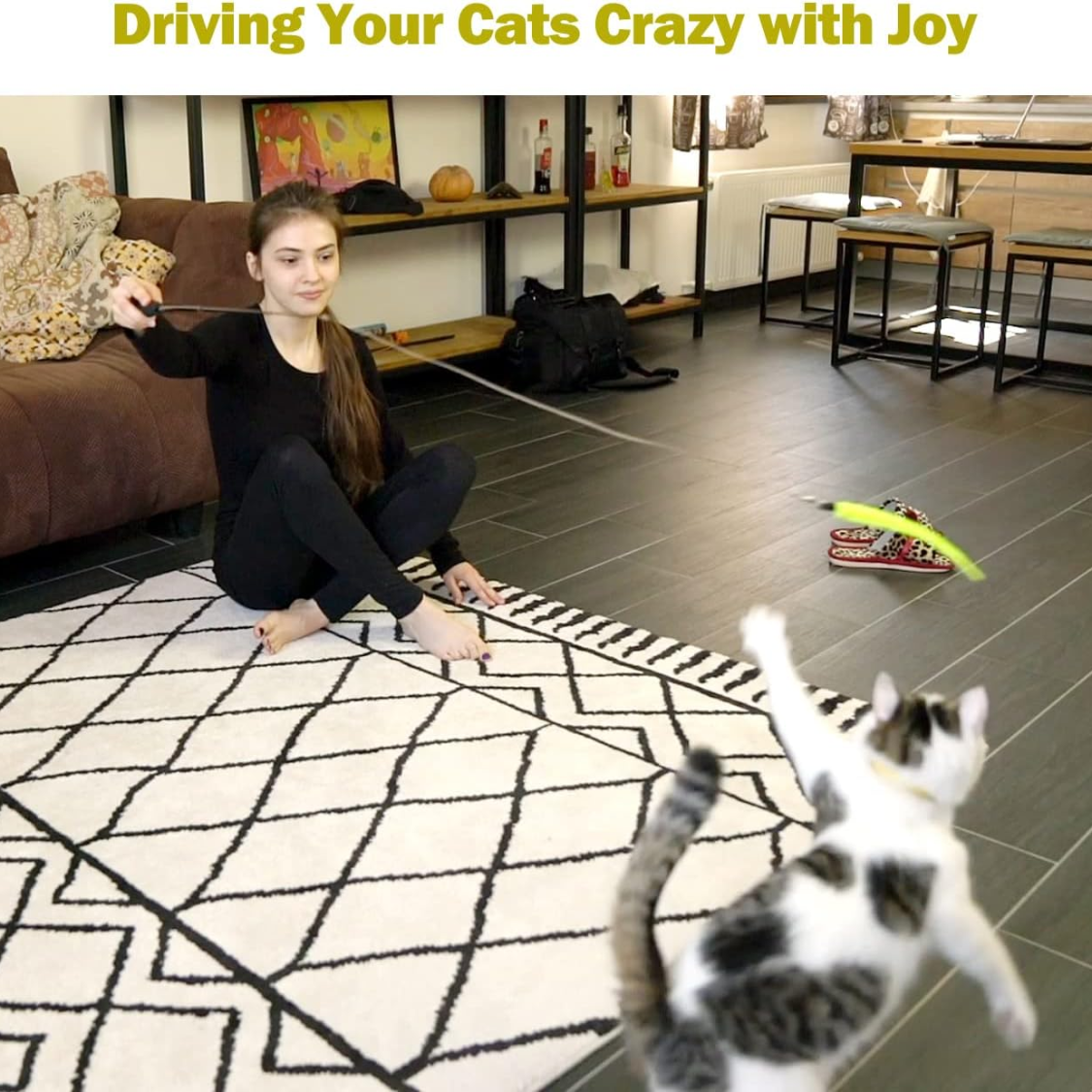 Jouets pour chats d'intérieur