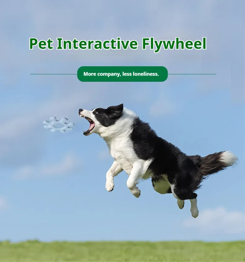 Interactive Flying Pet