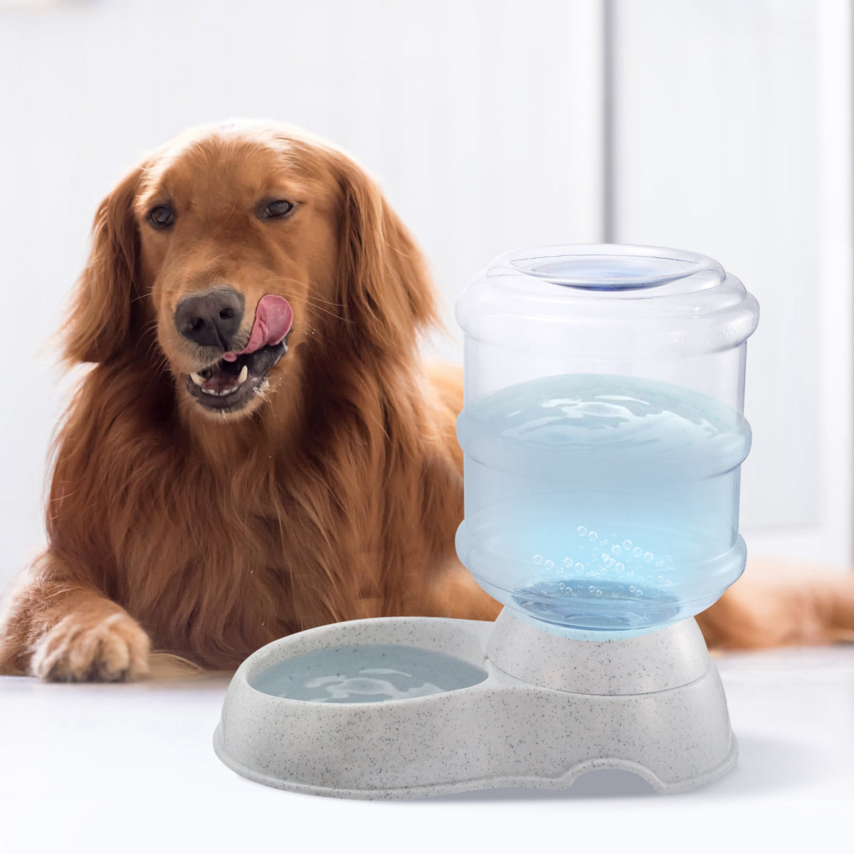 3.5L 1Gal Animaux de compagnie distributeur d'eau auto-distributeur Gravité Animaux de compagnie alimentation d'eau automatique Pet Wate
