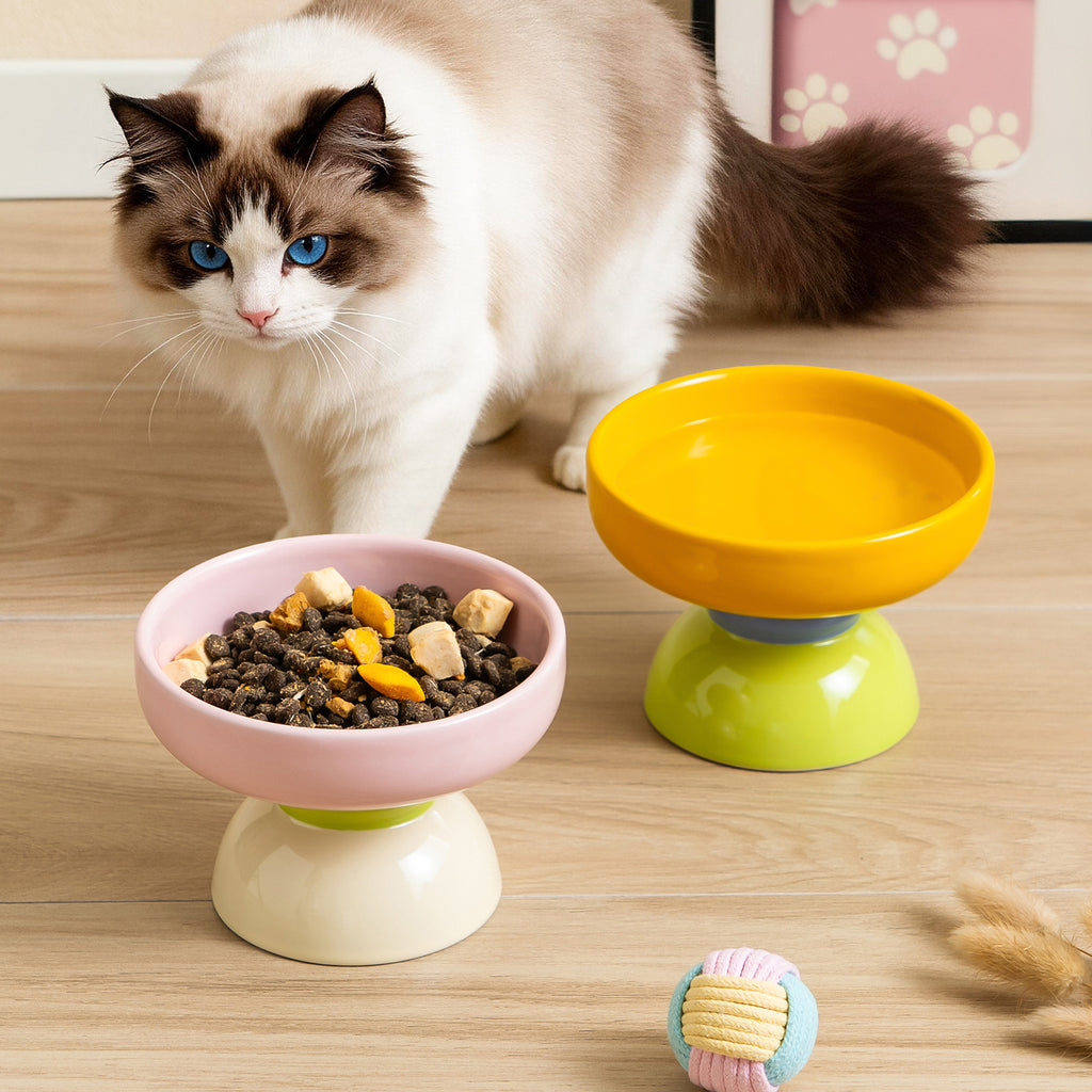Macaron Color-Block Ceramic Élevé Pet Bowl