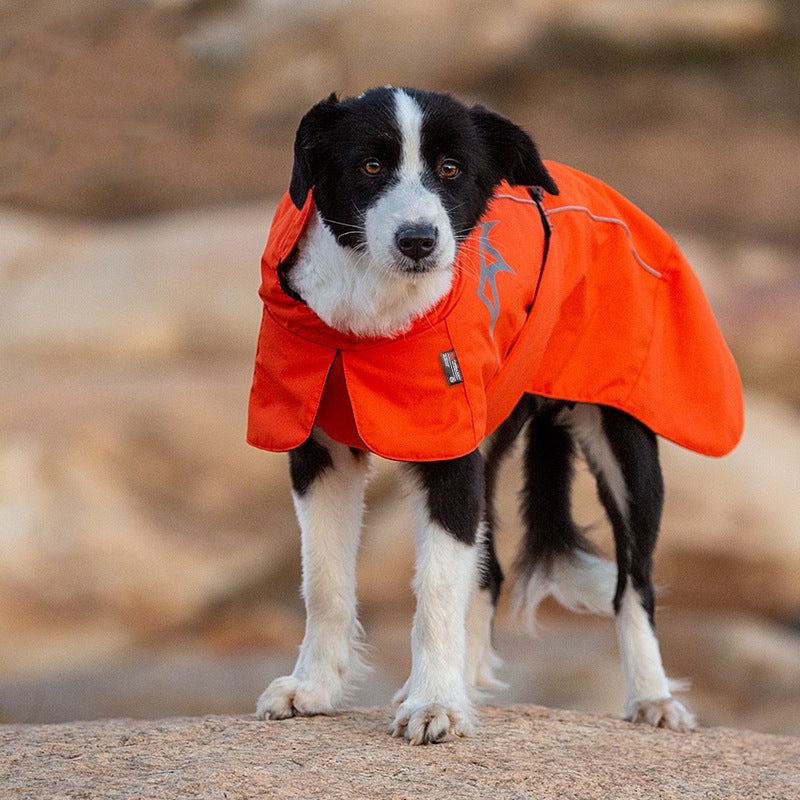 Animaux de compagnie Cotton rembourré vêtements automne et hiver imperméable chaud avec velours