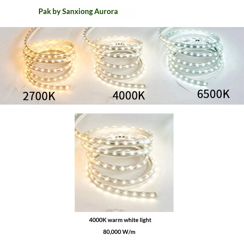 220V Ultra-Bright Haute-Voltage LED Flicker-Free bande de lumière flexible