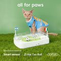 Jouet de poursuite intelligent activé par le mouvement pour chat et terrain de football