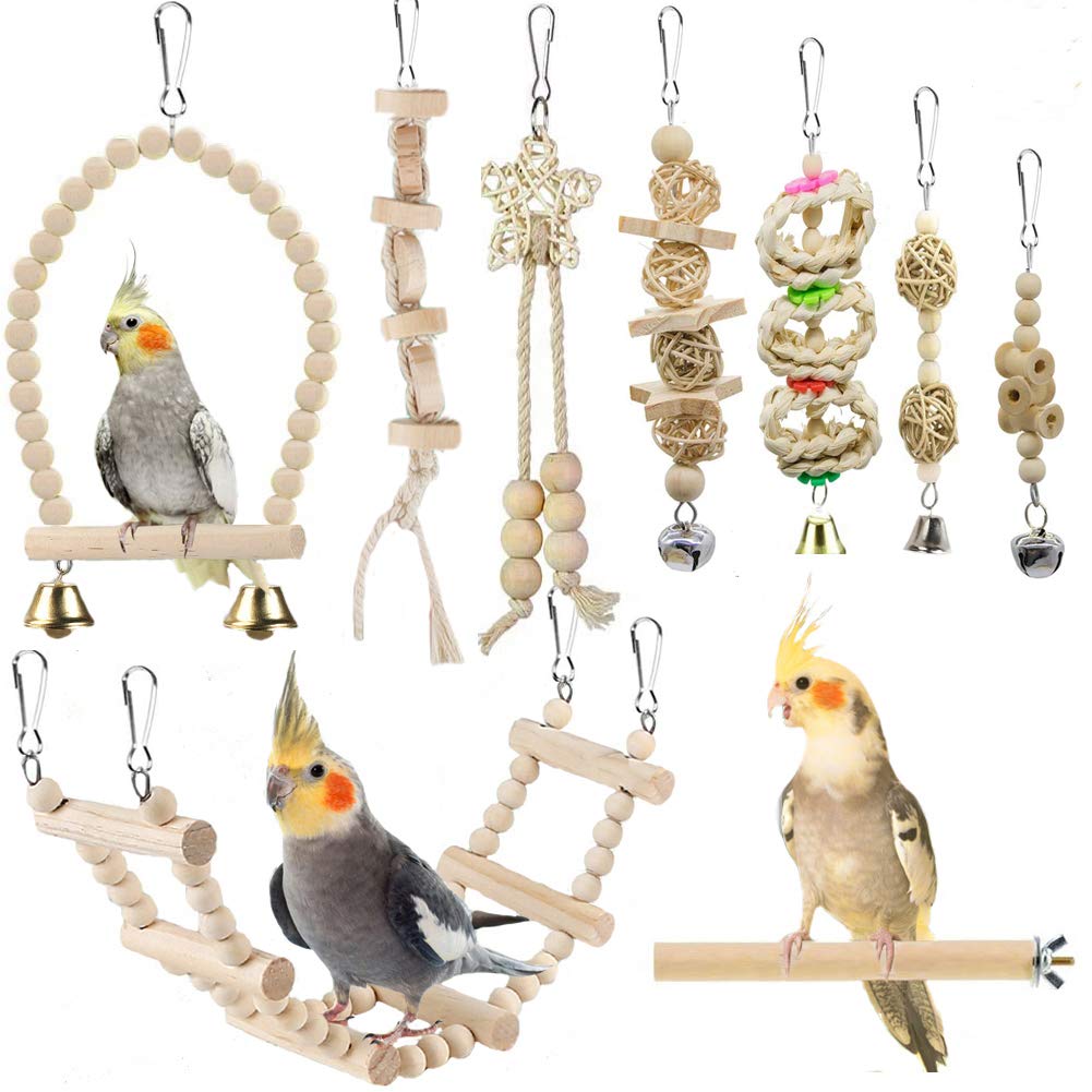 Jouets à balançoire de perroquet d'oiseau