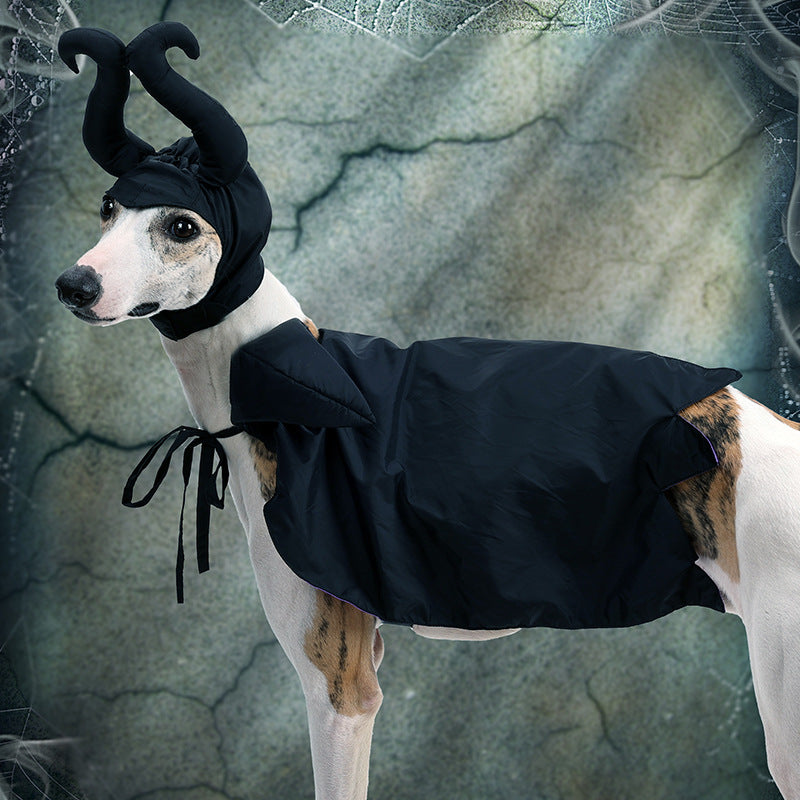 Vêtements de chien d'Halloween et de chapeau