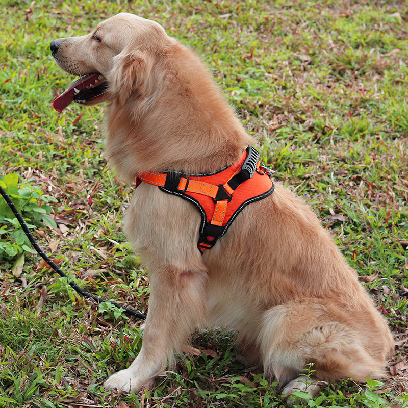 Harnais confortable réglable pour chien pour la marche