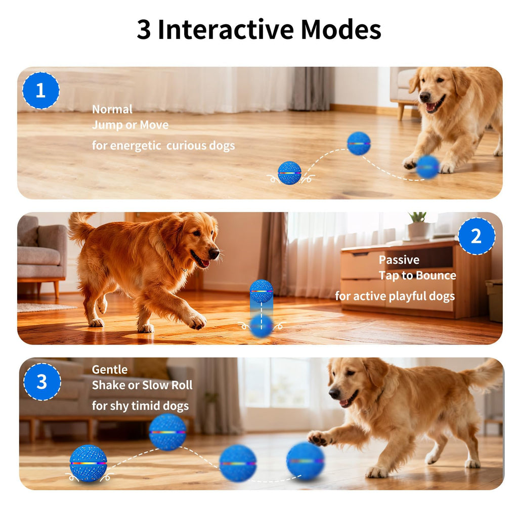 Balle interactive de jouets pour chiens