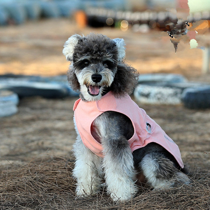 Chien Déodorant antibactérien Coton rembourré Coat