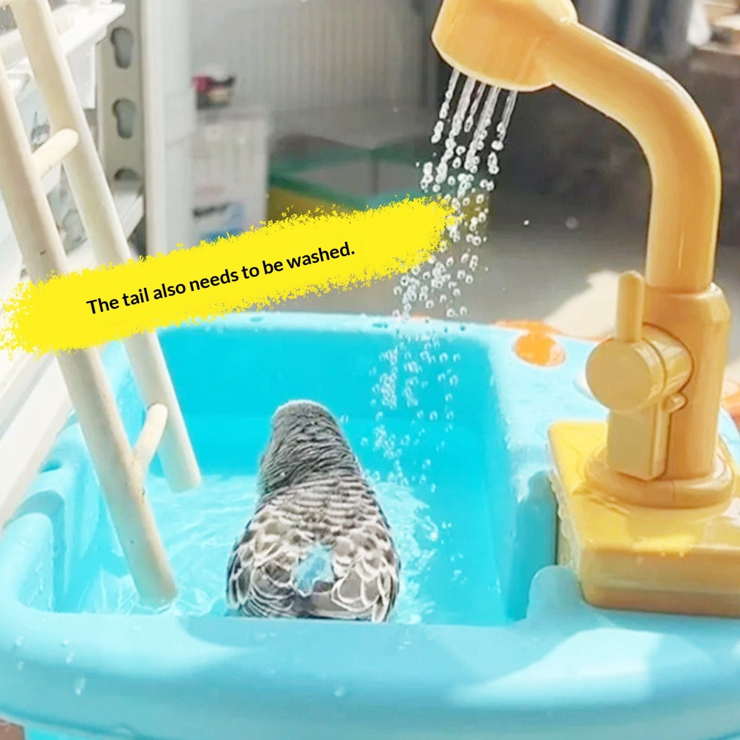 Jouets pour baignoire Appareils de bain Fournitures pour animaux de compagnie
