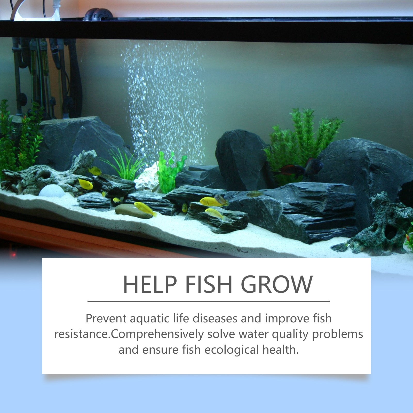 Eggbong réservoir de poisson Purificateur d'eau Algae Enlèvement de poudre réservoir de poisson Nettoyage élimine la mousse et