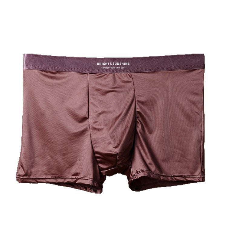 Sous-vêtements Hommes 10A Boxer antibactérien Breathable Sans couture