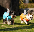 Volant Shark Fin Life Veste Dog Maillot de bain extérieur