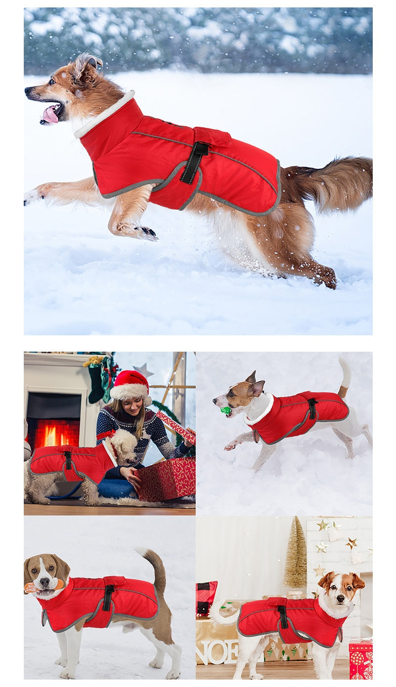 Animaux de compagnie Coton rembourré Coat Hiver Grand chien Golden Retriever Jarre Aero Bull Corgi Puppy Cloth
