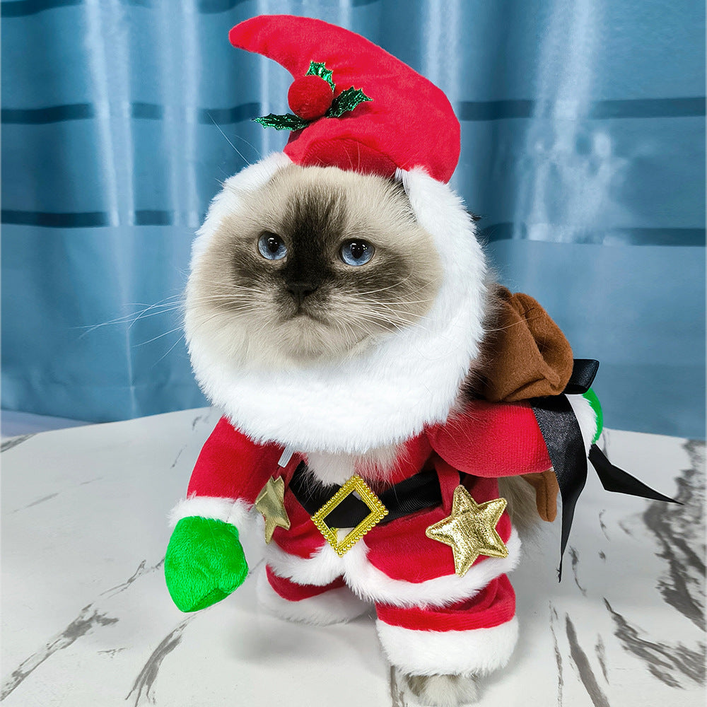 Déguisement du Père Noël pour chats et chiens
