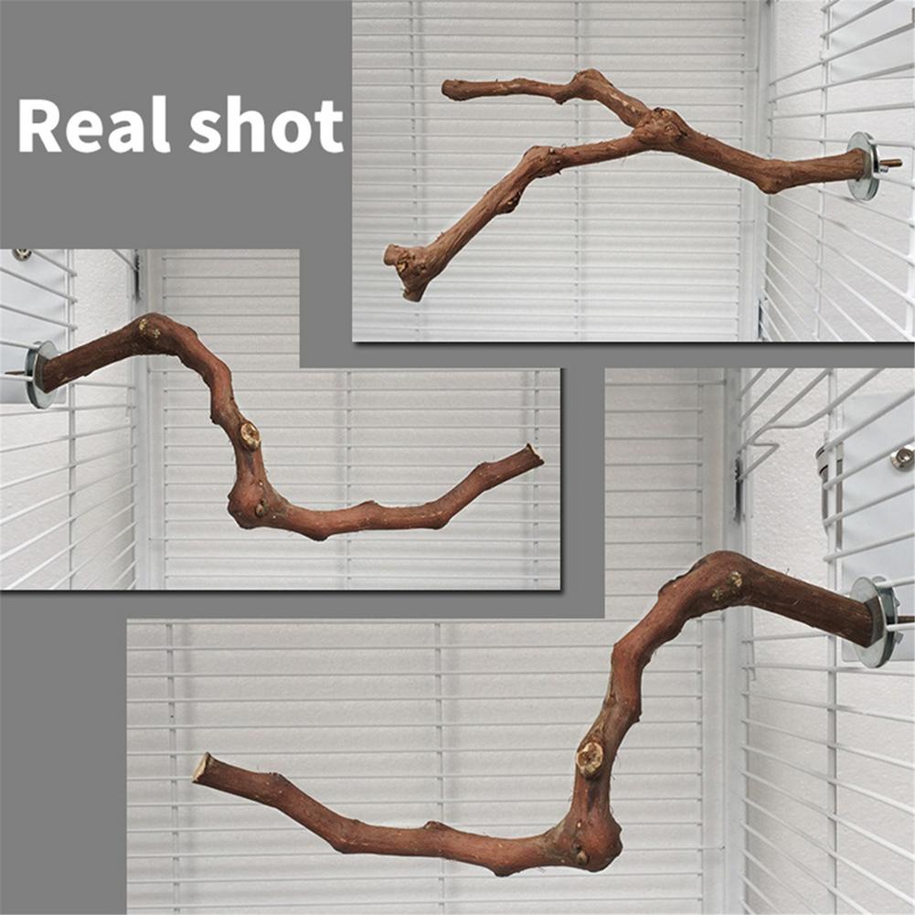 Birds Stick Standing Wild Grape Wood Grinding Stick Perching Stick