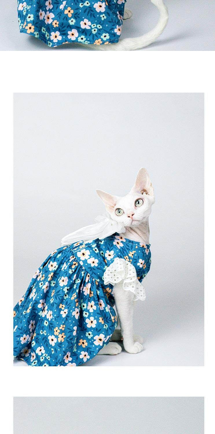 Robe de princesse en coton d'été de luxe pour les chats Sphynx